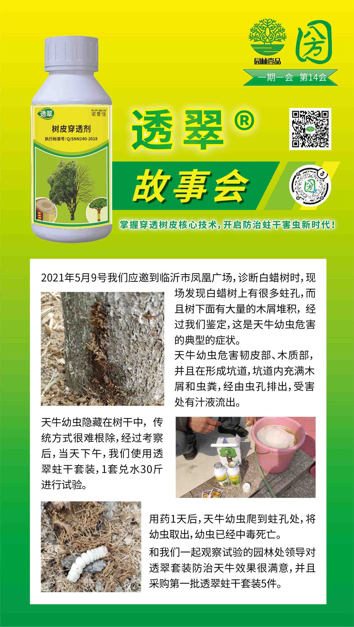 14透翠故事会  透翠蛀干害虫套装.jpg