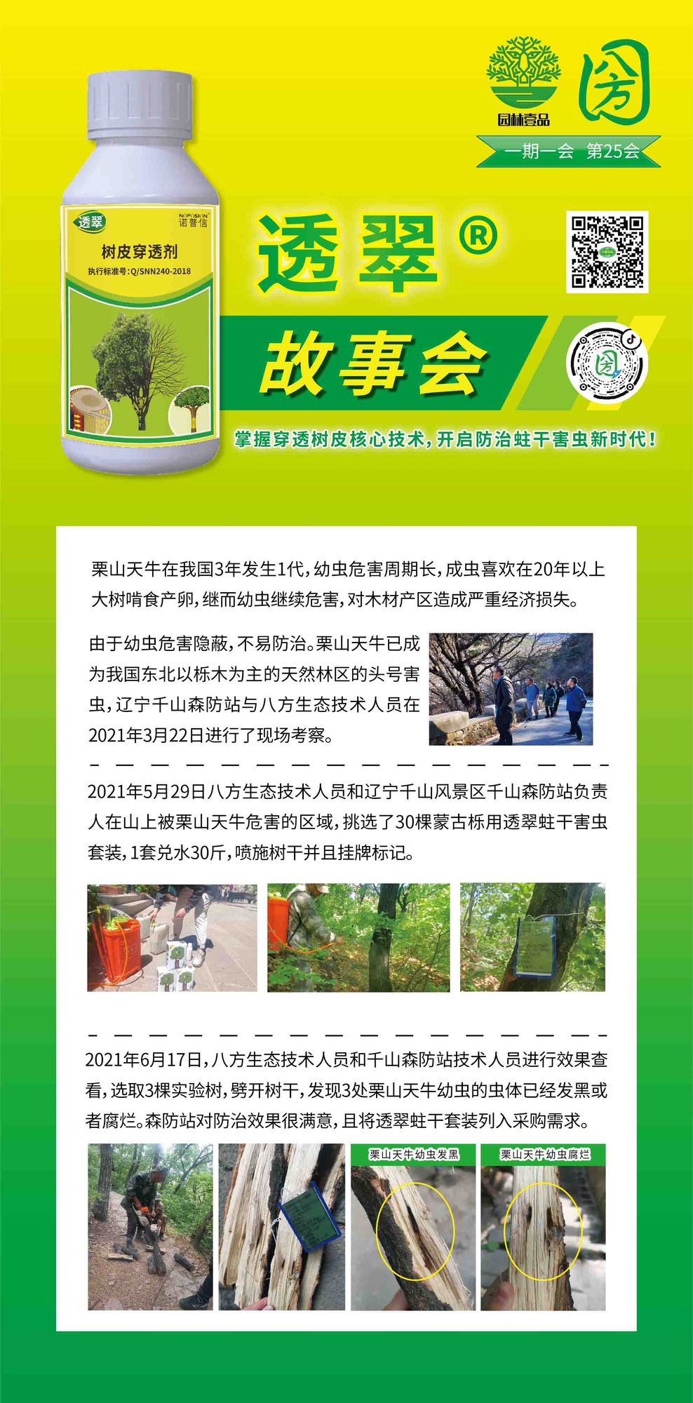 25透翠故事会  透翠蛀干害虫套装.jpg