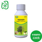 透翠500毫升