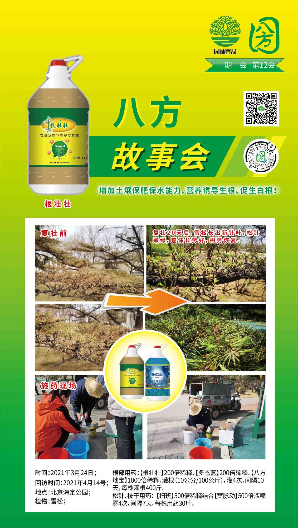 12八方故事会  根壮壮+多态蓝雪松复壮.jpg