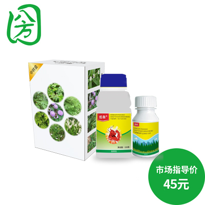 炬顽(220g+40g)